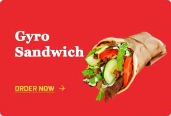 Gyro Sandwich